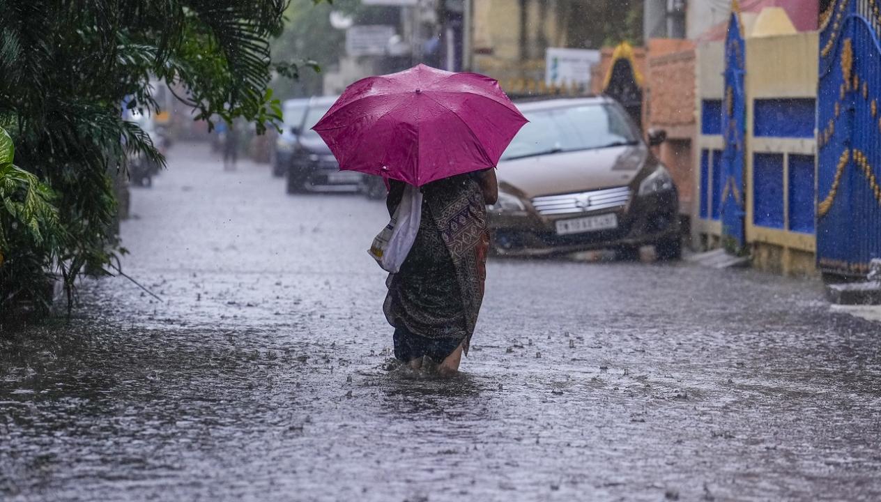 Tamil Nadu rains: Schools shut in several districts due to heavy downpour