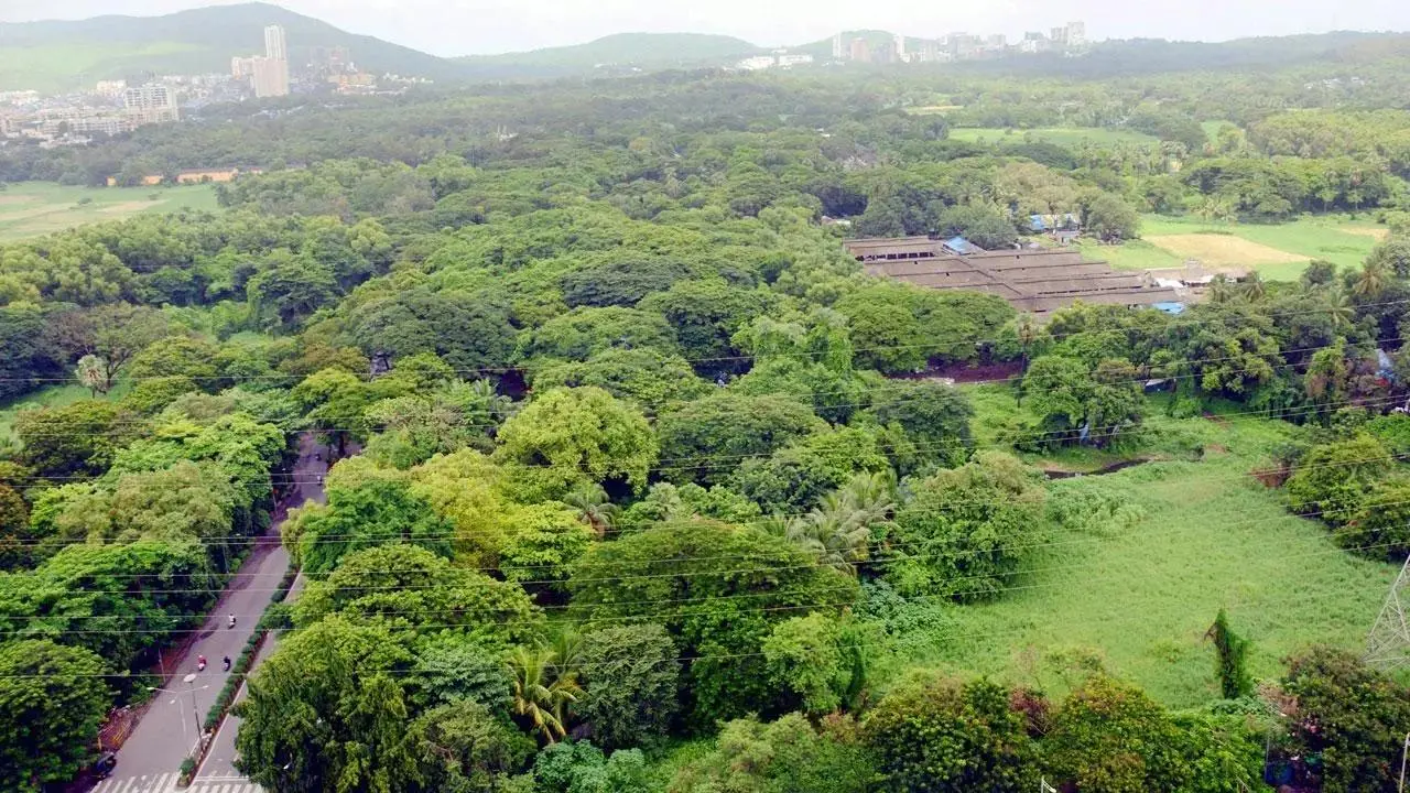 Mumbai LIVE: Is there a proposal to cut more trees in Aarey, SC asks Maharashtra