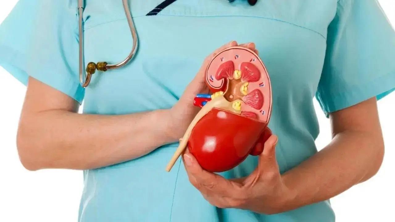 Mumbai doctors see rise of kidney stones cases among adults this winter