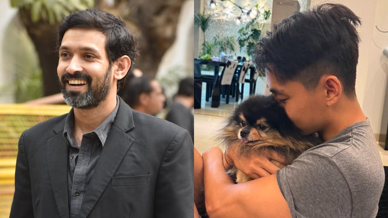 Ent Top Stories: Vikrant Massey announces acting break; V’s dog Yeontan dies