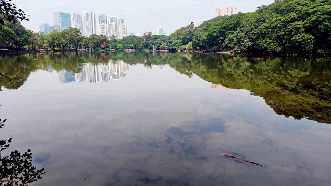 Mumbai: Environmentalist, govt row over Aarey lake beautification