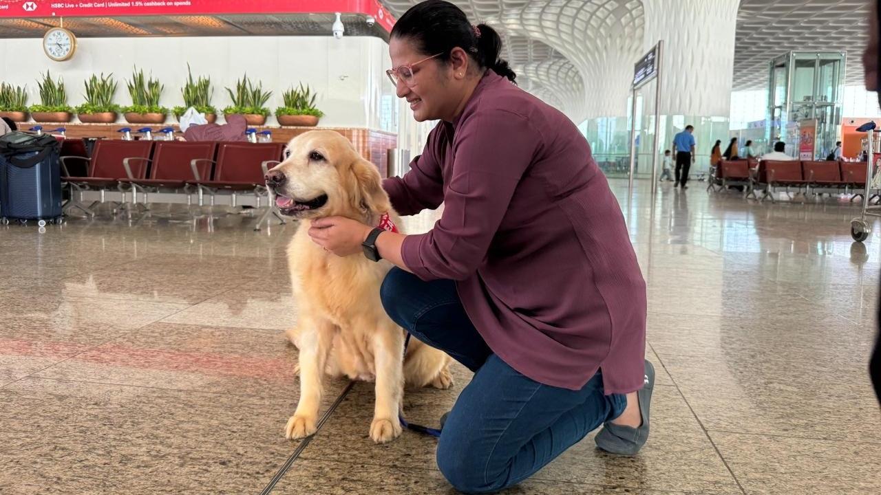 Emotional support dogs return to Mumbai airport to ease passenger stress