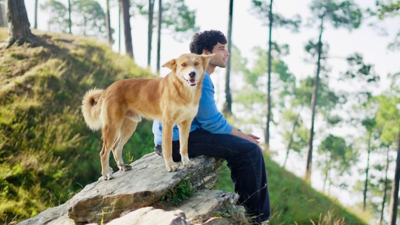 Siddhant Chaturvedi shares a ‘pawfect’ moment with furry friend in Uttarakhand