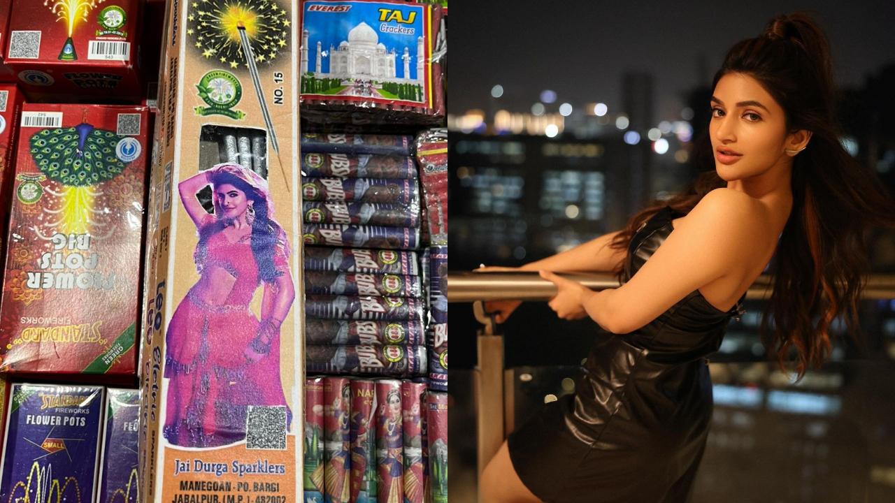 Sreeleela is the real phooljhadi this Diwali, South star's photo on firecracker boxes