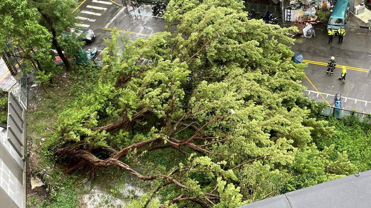 Super Typhoon Kong-rey made landfall in Taiwan on October 31, the state weather forecaster said, as one of the most powerful storms to hit the island in years unleashed fierce winds and torrential rain