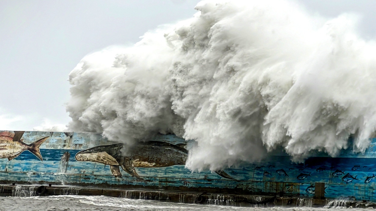 Taiwan's capital Taipei was largely shut down as it was hit by high winds and heavy rains. Off the north coast, a tugboat was dispatched to tow away a Chinese-registered freighter that floundered and had been abandoned by its crew amid heavy seas