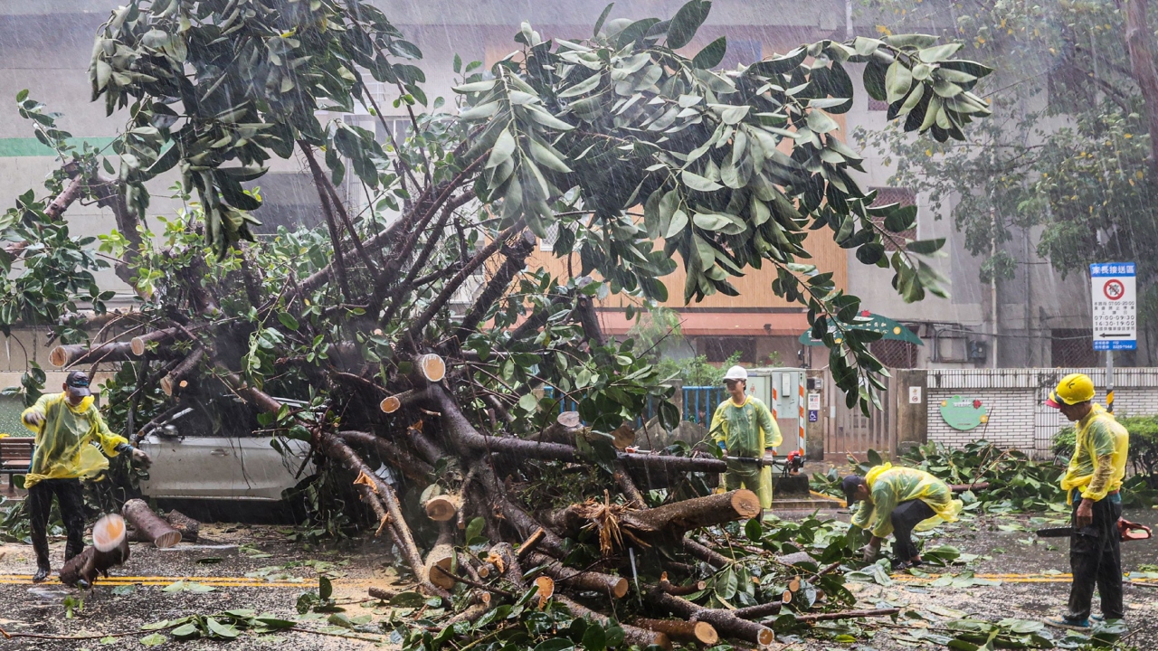 Parts of Yilan and Hualien Counties were inundated by heavy rain, but many farmers in the largely rural areas had already brought in their crops in anticipation of damage from the storm