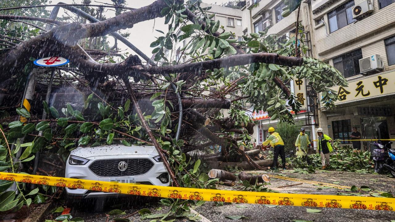 Cars under an uprooted tree at New Taipei City as Super Typhoon Kong-rey neared the coast in Taitung. Pics/AFP