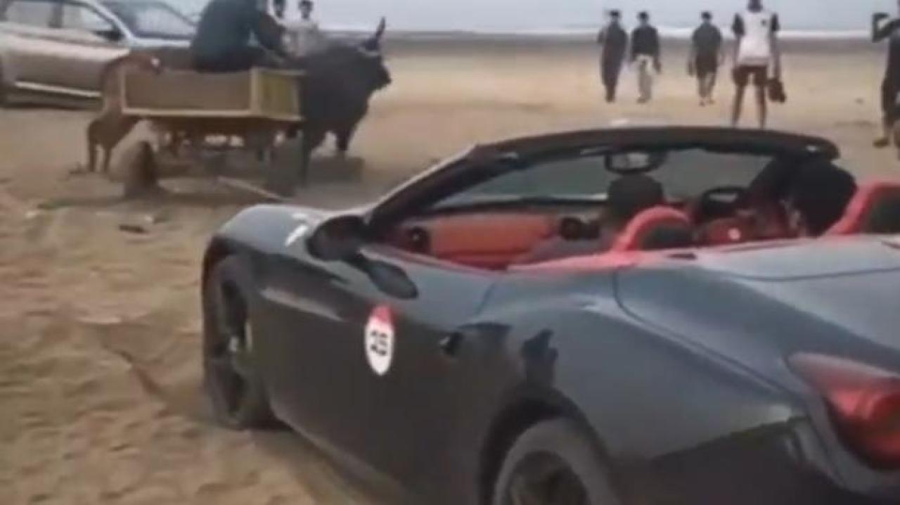 Maharashtra: Ferrari gets stuck at Alibaug beach, rescued by bullock cart